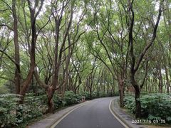 -东湖落雁景区