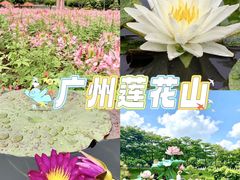 -广州莲花山旅游区
