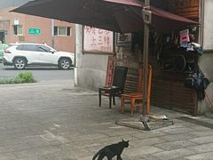 -深圳野生动物园