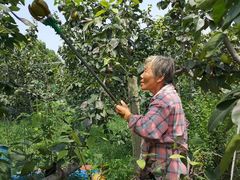 -云河农家乐饭店(福禄缘树山店)