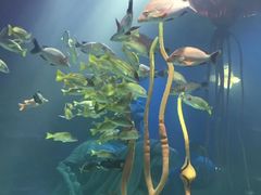 -沈阳海洋探索中心