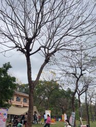 -星河湾酒店·宴会厅(番禺大道北店)