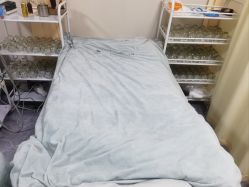 -苗塑堂减肥艾灸