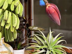 -Butchart布查德鲜花(花艺设计中心)