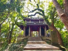 -溪口-滕头旅游景区