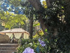 -湖泉半山温泉(湖泉生态园)