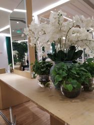 -In Style造型
