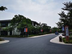 -湘湖金融镇