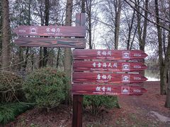 -上海海湾国家森林公园