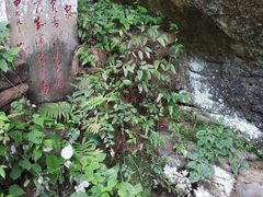 -武夷山风景名胜区-虎啸岩
