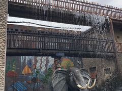 -呀路古热带植物园