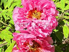 -仁和公园(顺义区)