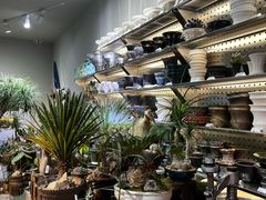-苏州中升海星(木渎地区店)