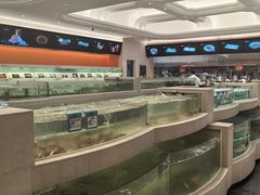 -白金汉爵大酒店·中餐厅(相城店)