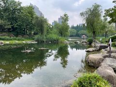 -新虹桥中心花园