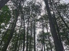 -上海月湖雕塑公园