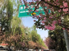 -关中老碗(建工路店)