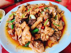 现杀果园鸡—黄焖鸡-生态苑农庄(十里画廊遇龙河店)