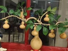 -柳沟豆腐宴69号福豆堂