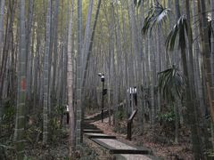 -南山风景名胜区