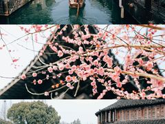 -乌镇景区