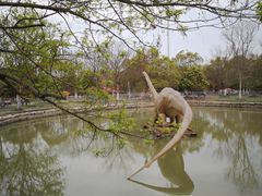 -上海海湾国家森林公园