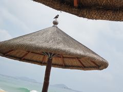 -三亚亚龙湾万豪度假酒店