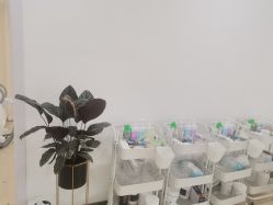 -凡碧诗毛孔清洁收细