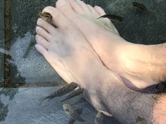 -唐风温泉