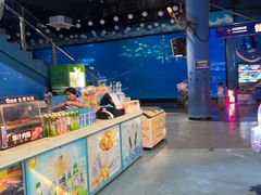 -烟台海昌鲸鲨海洋公园