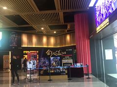 -万达影城(闵行颛桥万达广场杜比影院店)