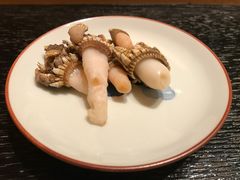 佛手贝-橼舍鮨青木