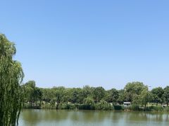 -稻香湖公园