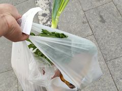 -乌素图国家森林公园