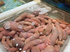 -小船渔村•大连菜•大连焖鱼(明泽街店)