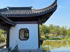 -上海滨江森林公园