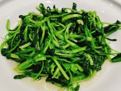 清炒鸡毛菜-徽镇小厨·经典徽菜(十里河店)