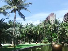 -三亚湾海居铂尔曼度假酒店