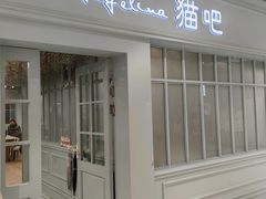 -安格丽娜·狗咖·猫咖羊驼咖(春熙路百盛商场店)