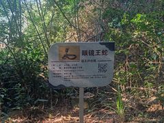 -海南霸王岭国家森林公园