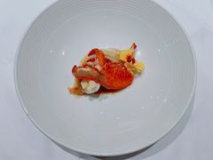 波士顿龙虾-蝶舍·MAISON PAPILLON