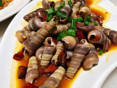 辣炒丁螺-华盛丰温州大排档(东三环南路店)