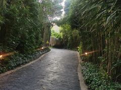 -三亚亚龙湾人间天堂鸟巢度假村
