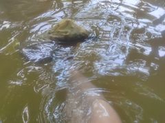 -碧水湾温泉