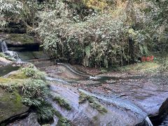 -碧峰峡风景区