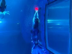 -太平洋海底世界