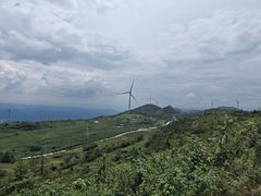 -齐岳山