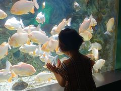 -常州海昌海洋探索馆