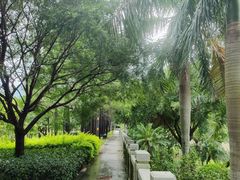 -龙江公园