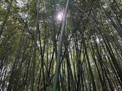 -沙家浜风景区
